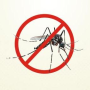 aedes-2